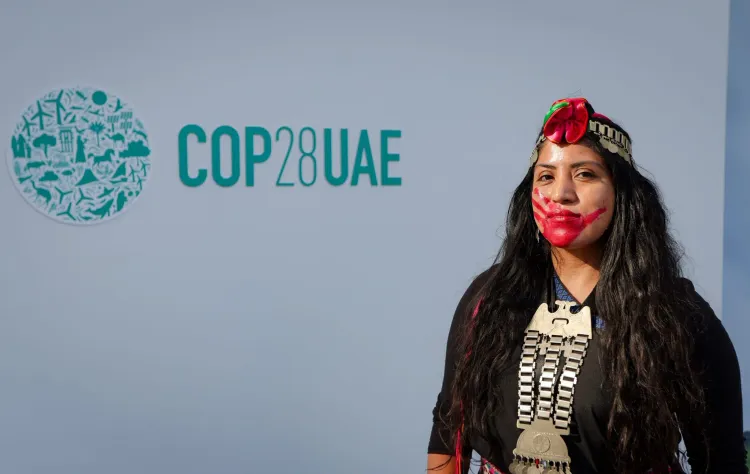 COP 28 - where is the representation?